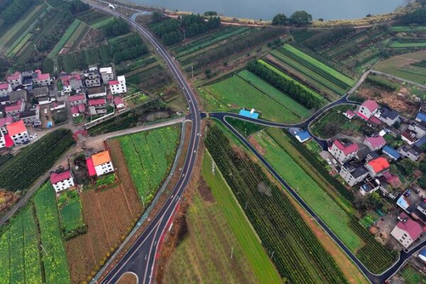 China_Prioriza_Agricultura_y_Crecimiento_Rural_en_el_U_ltimo_Informe_de_Poli_ticas