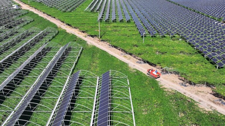 China_acelera_la_transicio_n_verde_en_todos_los_sectores video poster