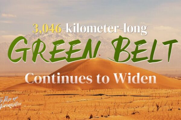 Cinturón verde de 3046 km revitaliza el desierto de Taklimakan Cinturo_n_verde_de_3046_km_revitaliza_el_desierto_de_Taklimakan video poster