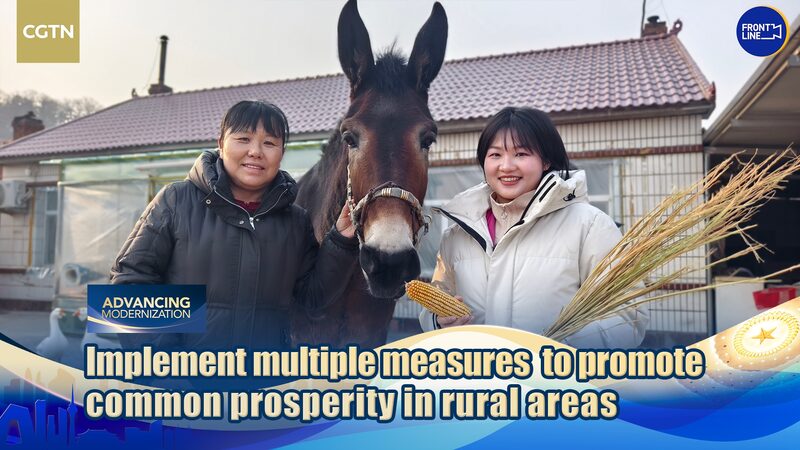 Conectando_el_noreste_rural_de_China_con_el_gobierno_central__Dentro_de_las_Dos_Sesiones____