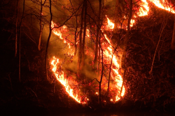 Corea del Sur enfrenta incendios forestales mortales: 26 vidas perdidas Corea_del_Sur_enfrenta_incendios_forestales_mortales__26_vidas_perdidas video poster