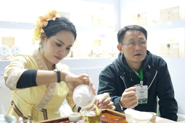 De raíces salvajes a tu taza: El té Pu’er Bingdao brilla De_rai_ces_salvajes_a_tu_taza__El_te__Pu_er_Bingdao_brilla video poster