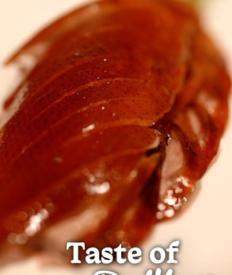 Descubre las delicias culinarias de Pekín: Desde el Pato Pekinés hasta los bocadillos únicos 🍜🦆 Descubre_las_delicias_culinarias_de_Peki_n__Desde_el_Pato_Pekine_s_hasta_los_bocadillos_u_nicos___ video poster