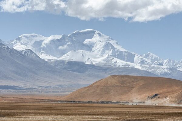 Descubrimiento Fúngico en la Meseta Qinghai-Xizang Descubrimiento_Fu_ngico_en_la_Meseta_Qinghai_Xizang