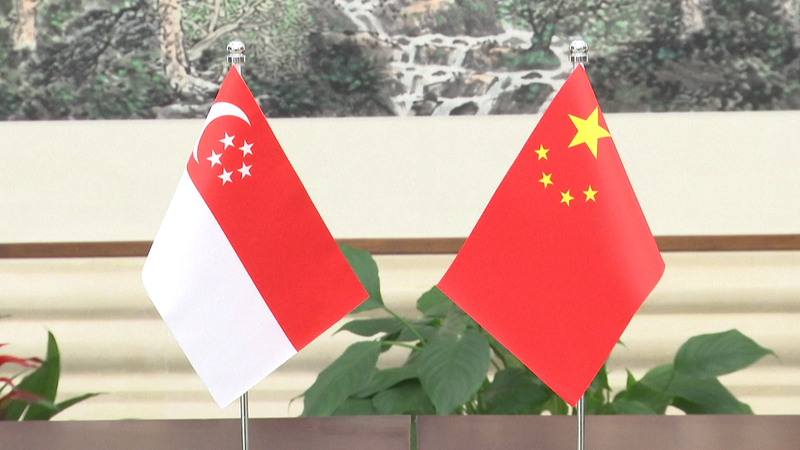 Han Zheng insta a una cooperación más estrecha entre China y Singapur Han Zheng insta a una cooperación más estrecha entre China y Singapur