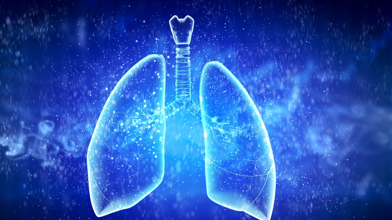 La tecnología trae nueva esperanza contra la tuberculosis resistente a medicamentos