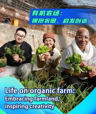 El auge de la agricultura orgánica en China: Empoderando comunidades y emprendedores 🌱 El_auge_de_la_agricultura_orga_nica_en_China__Empoderando_comunidades_y_emprendedores__ video poster