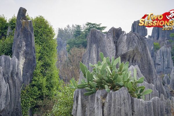 Explora_el_encantador_Bosque_de_Piedra_Shenjian_en_Guangxi___ video poster