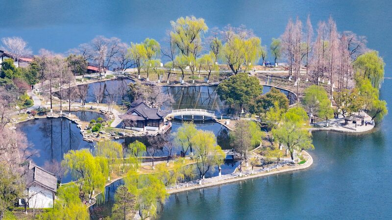 El parque del lago Mochou en Nanjing florece: Un maravilloso paraíso primaveral