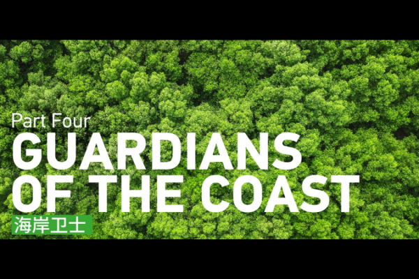 Guardianes_de_la_Costa__Reviviendo_los_Manglares_en_el_Mar_de_China_Meridional video poster