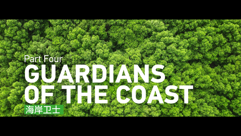 Guardianes_de_la_Costa__Reviviendo_los_Manglares_en_el_Mar_de_China_Meridional video poster