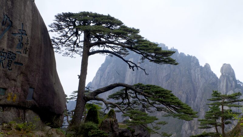 Guardianes_de_la_Naturaleza__Hu_Xiaochun_y_el_Legendario_Pino_de_Huangshan video poster