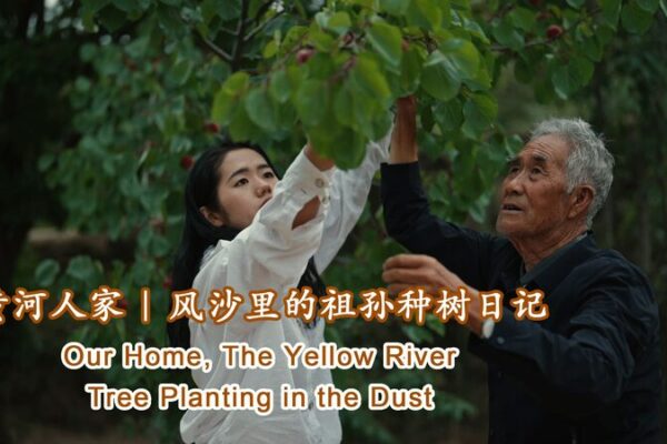 Héroes Verdes: Abuelo y Nieta Transforman las Colinas Áridas de Ningxia 🌱👵👧 He_roes_Verdes__Abuelo_y_Nieta_Transforman_las_Colinas_A_ridas_de_Ningxia____ video poster
