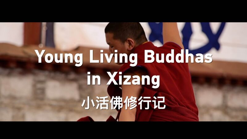 Jo_venes_Budas_Vivientes__La_Tradicio_n_se_Encuentra_con_la_Educacio_n_Moderna_en_Xizang video poster