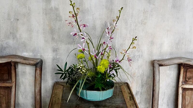 La_Primavera_Florece_en_Huizhou__Una_Mezcla_Vibrante_de_Tradicio_n_y_Naturaleza__