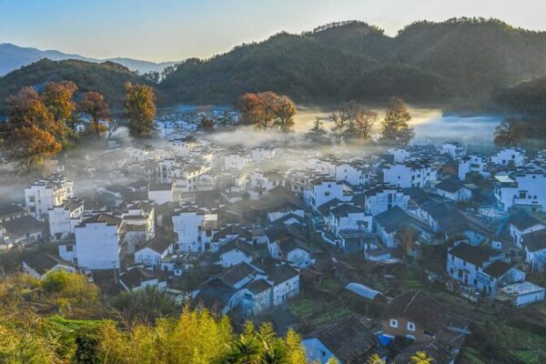 La_Sinfoni_a_Ecolo_gica_Dorada_de_Wuyuan