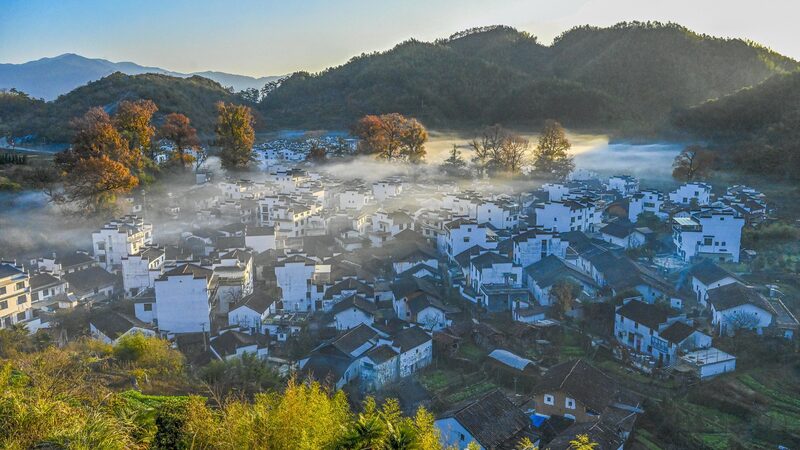 La_Sinfoni_a_Ecolo_gica_Dorada_de_Wuyuan