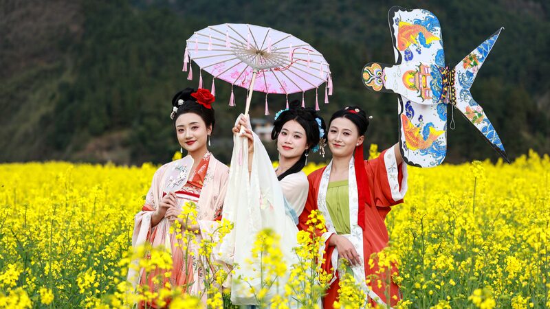 La_elegancia_del_Hanfu_florece_en_los_campos_dorados_de_colza