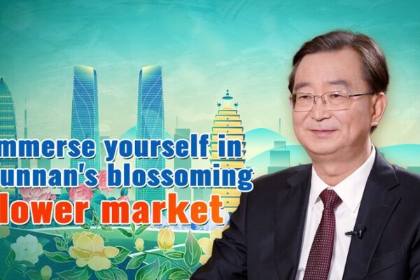 La visita presidencial impulsa la floreciente industria de flores de Yunnan La_visita_presidencial_impulsa_la_floreciente_industria_de_flores_de_Yunnan