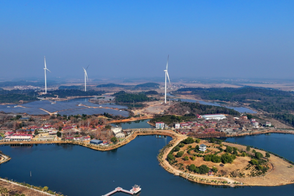 La revolución verde de Asia: Oportunidades y desafíos