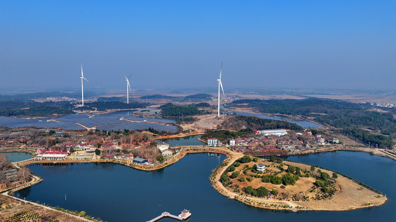 La revolución verde de Asia: Oportunidades y desafíos