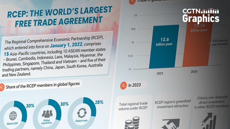 BFA 2025: Acelerando la Integración Asia-Pacífico con RCEP