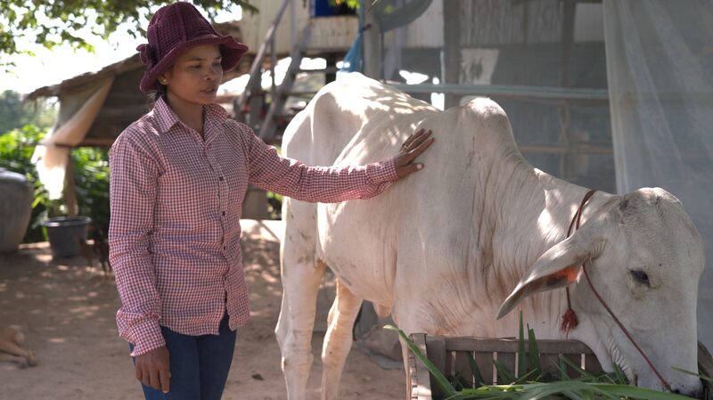 Rompiendo Barreras: El Camino Innovador de Srey Chantha para Salir de la Pobreza en Camboya Rompiendo_Barreras__El_Camino_Innovador_de_Srey_Chantha_para_Salir_de_la_Pobreza_en_Camboya video poster