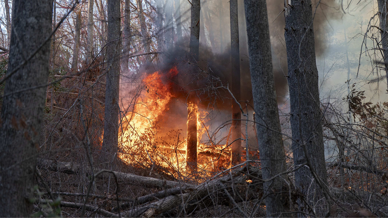 Los incendios forestales provocan más evacuaciones en las Carolinas de EE.UU.