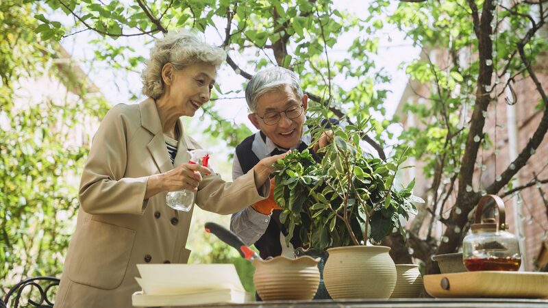 Sichuan_ve_progreso_en_cuidado_de_ancianos__dice_diputada_de_la_APN