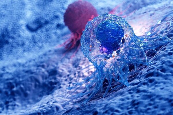 Telómeros: El Nuevo Escudo Contra el Cáncer Telo_meros__El_Nuevo_Escudo_Contra_el_Ca_ncer