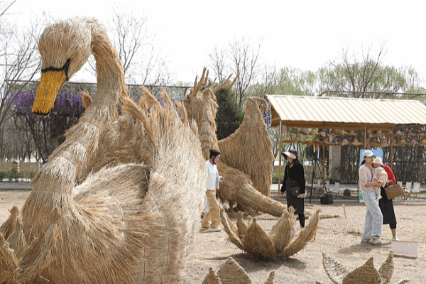 El Festival Internacional de Arte de Espantapájaros Encandila Ningxia El Festival Internacional de Arte de Espantapájaros Encandila Ningxia