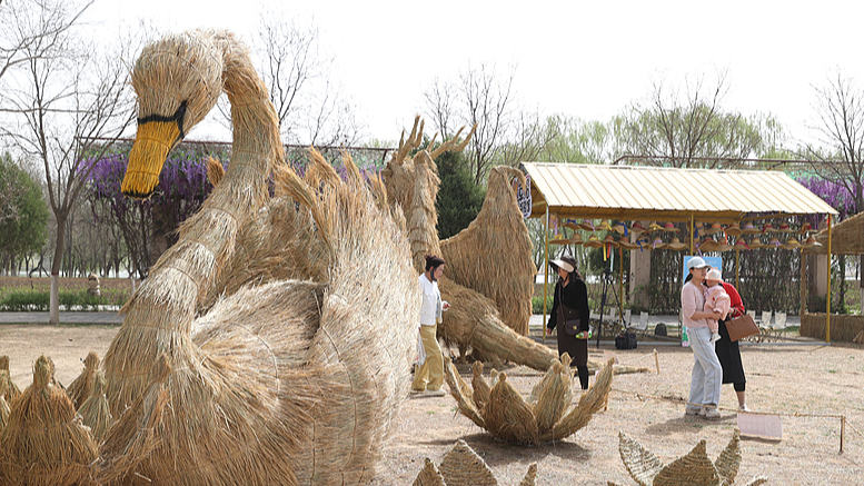 El Festival Internacional de Arte de Espantapájaros Encandila Ningxia