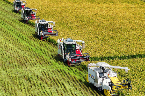 El audaz plan de la China continental para la modernización agrícola y rural El audaz plan de la China continental para la modernización agrícola y rural
