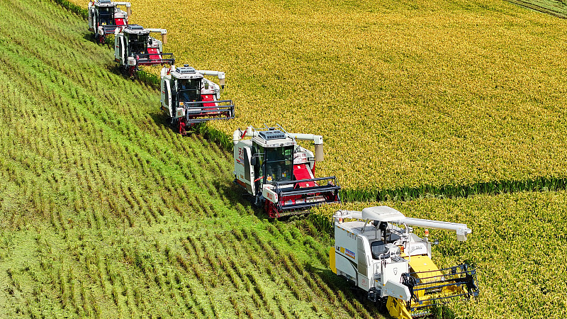 El audaz plan de la China continental para la modernización agrícola y rural