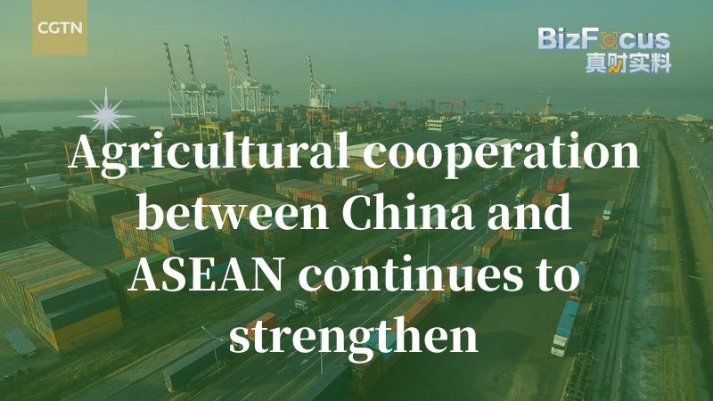 Las relaciones agrícolas entre China y ASEAN se fortalecen: $34.73B en importaciones en 2024