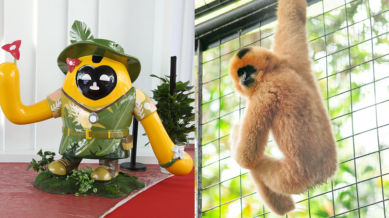Los Mascotas de la Expo de Hainan Honran la Selva Tropical y la Recuperación del Gibón