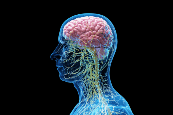 CirugĂa de cuello trae nueva esperanza para pacientes con Alzheimer CirugĂa de cuello trae nueva esperanza para pacientes con Alzheimer