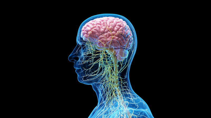 Cirugía de cuello trae nueva esperanza para pacientes con Alzheimer