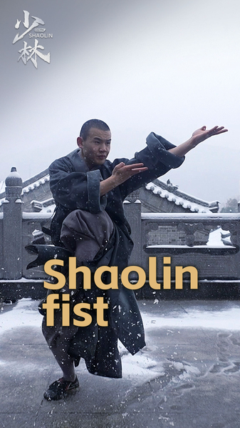 Kung Fu Shaolin Desatado: Feroz Exhibición de Shi Yancong video poster