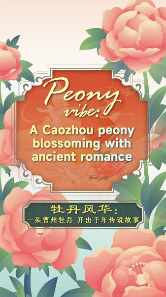 La peonía de Caozhou florece con romance antiguo video poster