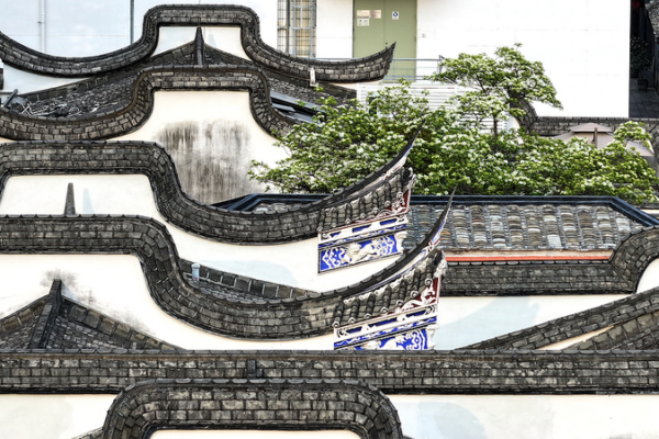 Flores de Árboles de Flecos Brillan en los Callejones Históricos de Fuzhou Flores de Árboles de Flecos Brillan en los Callejones Históricos de Fuzhou