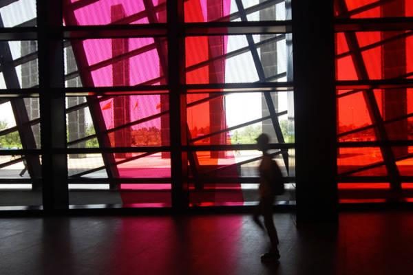 Viaje Cinematográfico: Uniendo Cine, Arte e Innovación