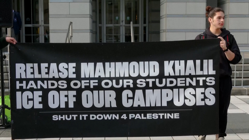 Manifestantes se reúnen por estudiantes internacionales detenidos video poster