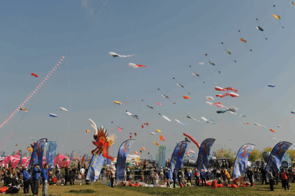 ¡El 42º Festival Internacional de Cometas ilumina los cielos de Shandong! ¡El 42º Festival Internacional de Cometas ilumina los cielos de Shandong! video poster