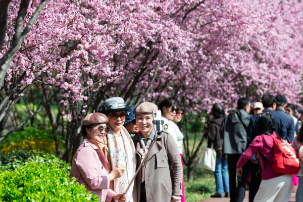 El Festival Qingming impulsa nuevas tendencias de consumo El_Festival_Qingming_impulsa_nuevas_tendencias_de_consumo