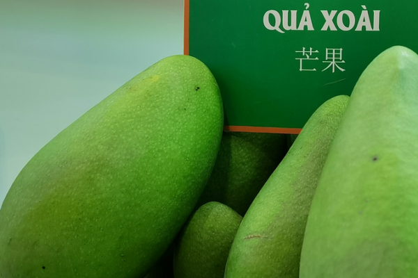 El_auge_de_la_cosecha_de_frutas_en_Vietnam_impulsa_las_exportaciones
