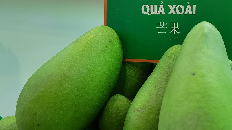 El_auge_de_la_cosecha_de_frutas_en_Vietnam_impulsa_las_exportaciones