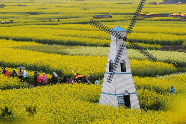 Esplendor Floral y Ferrocarril de Alta Velocidad+ Impulsan los Viajes de Primavera en el Continente Chino Esplendor_Floral_y_Ferrocarril_de_Alta_Velocidad__Impulsan_los_Viajes_de_Primavera_en_el_Continente_Chino