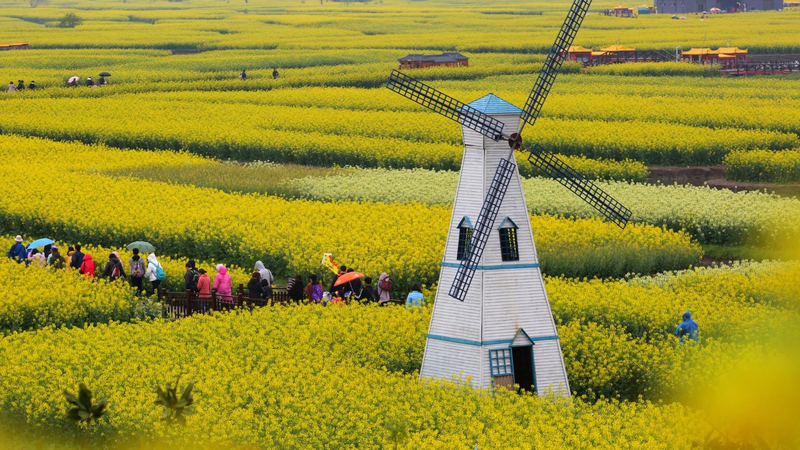 Esplendor_Floral_y_Ferrocarril_de_Alta_Velocidad__Impulsan_los_Viajes_de_Primavera_en_el_Continente_Chino