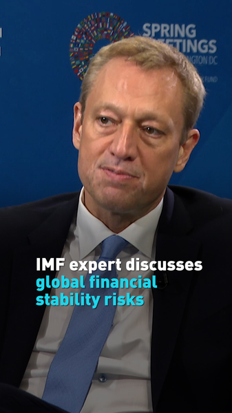 Experto del FMI destaca riesgos para la estabilidad financiera global Experto_del_FMI_destaca_riesgos_para_la_estabilidad_financiera_global video poster